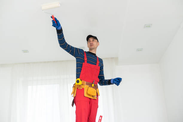 Best Attic Mold Removal  in Coraopolis, PA